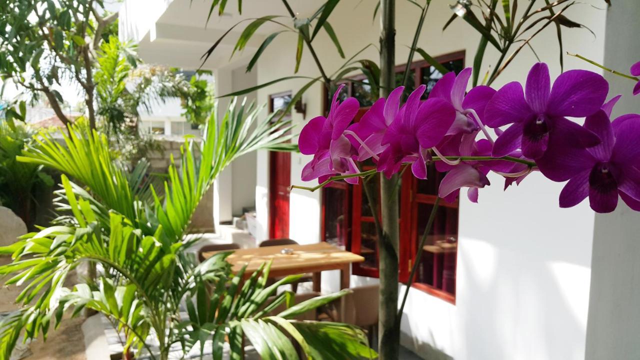 Splendid Lodge Mirissa Eksteriør bilde